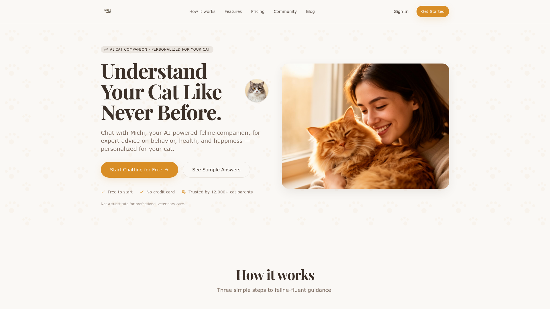 Michi Lux website homepage